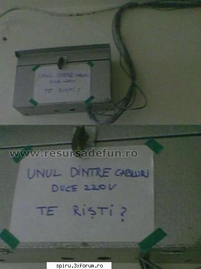 Poze - Care o fi firul??? - Caterinca & Profesori